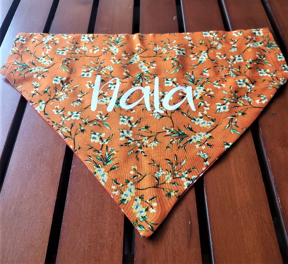 Bandana para gato