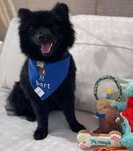 Cargar imagen en el visor de la galería, Bandana personalizable para perro o gato

